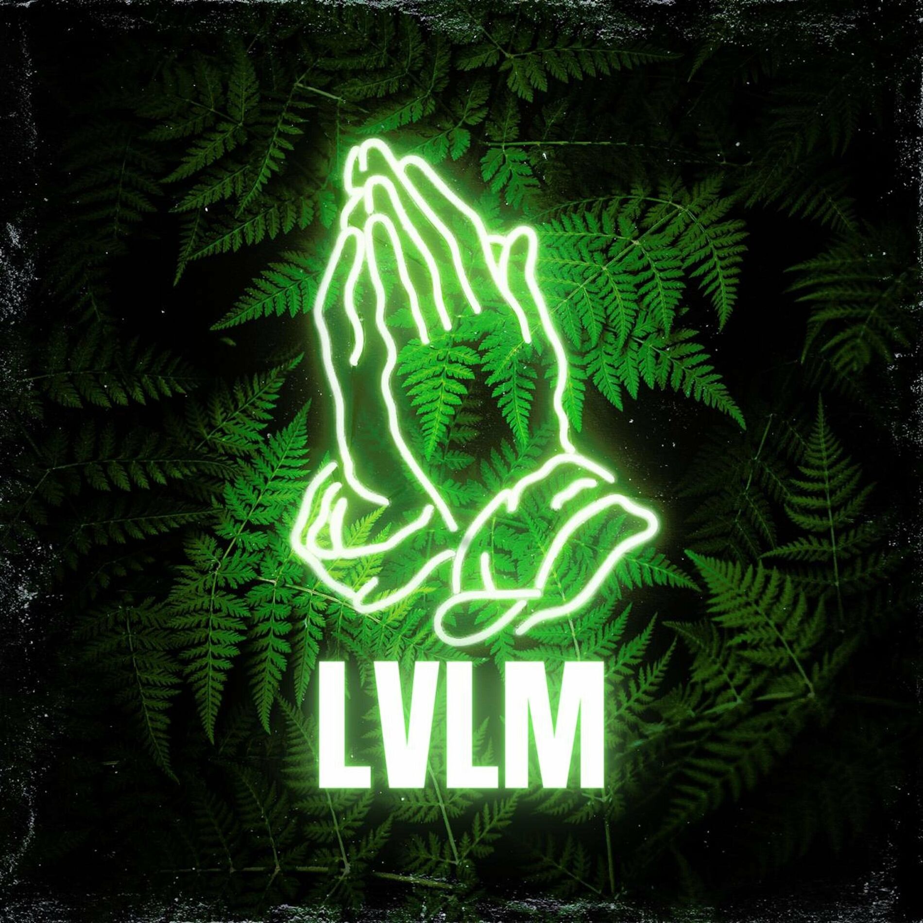 Album cover of L.V.L.M