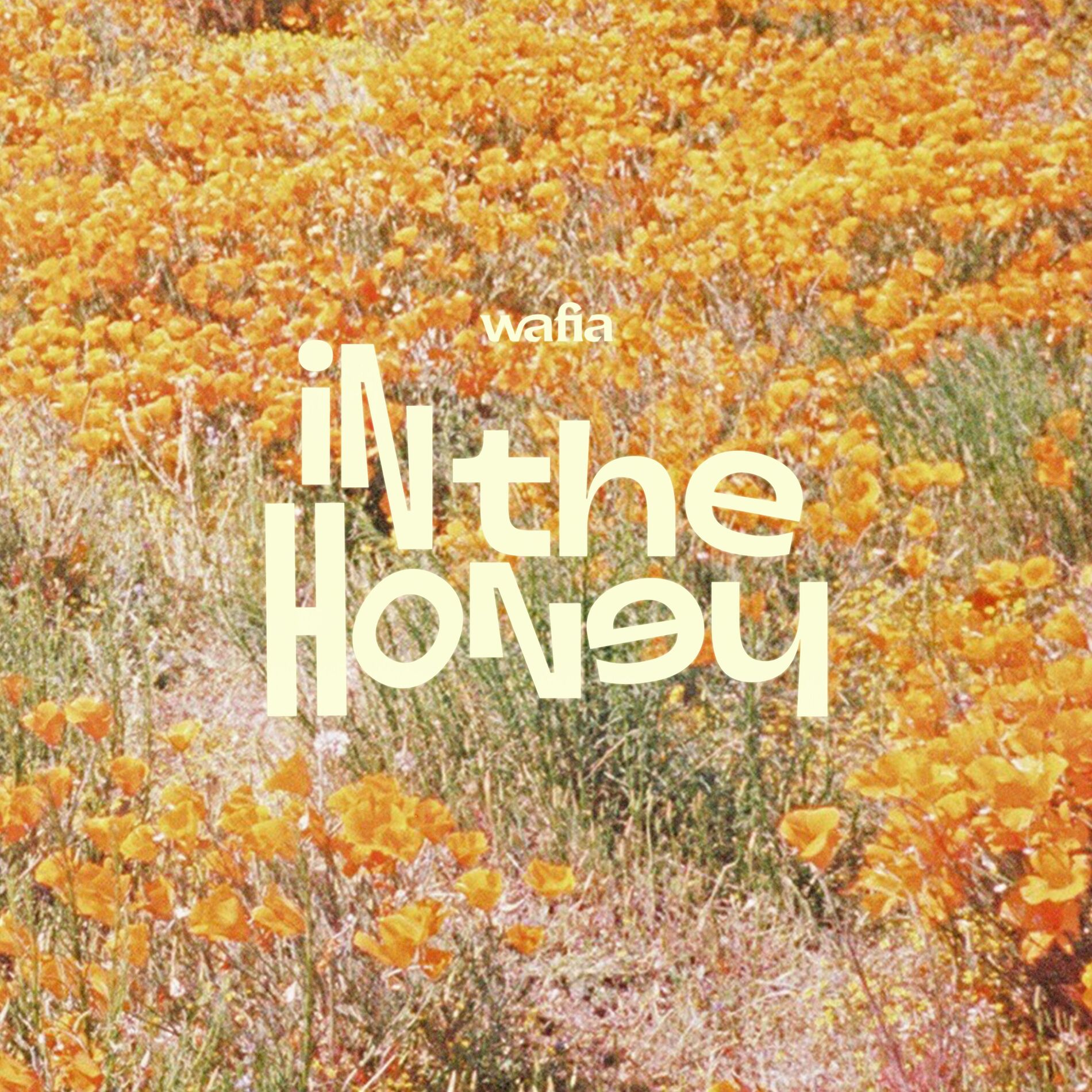 Album cover of In the Honey