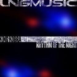 Cover of Rhythm of the Night
