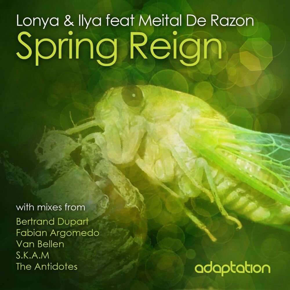 Picture of Spring Reign