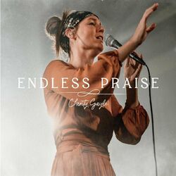 Cover of Endless Praise