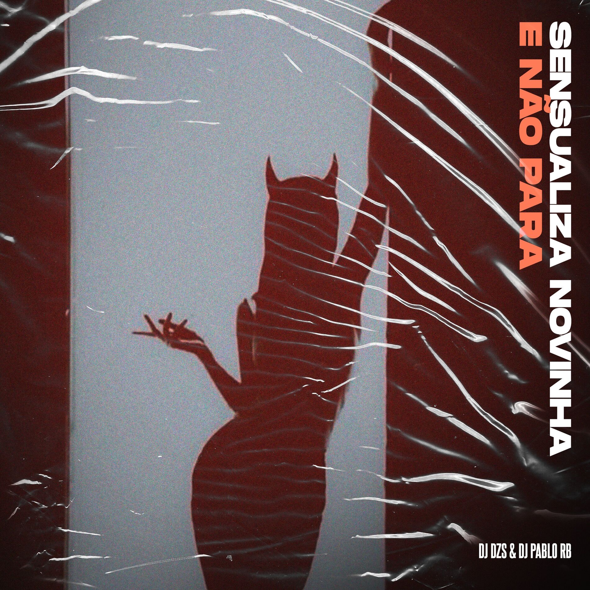 Album cover of Sensualiza Novinha e Não Para