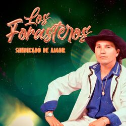 Cover of Sindicado de Amor
