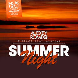 Cover of Summer Night