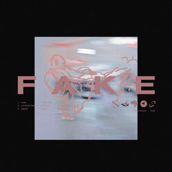 Cover of FAKE