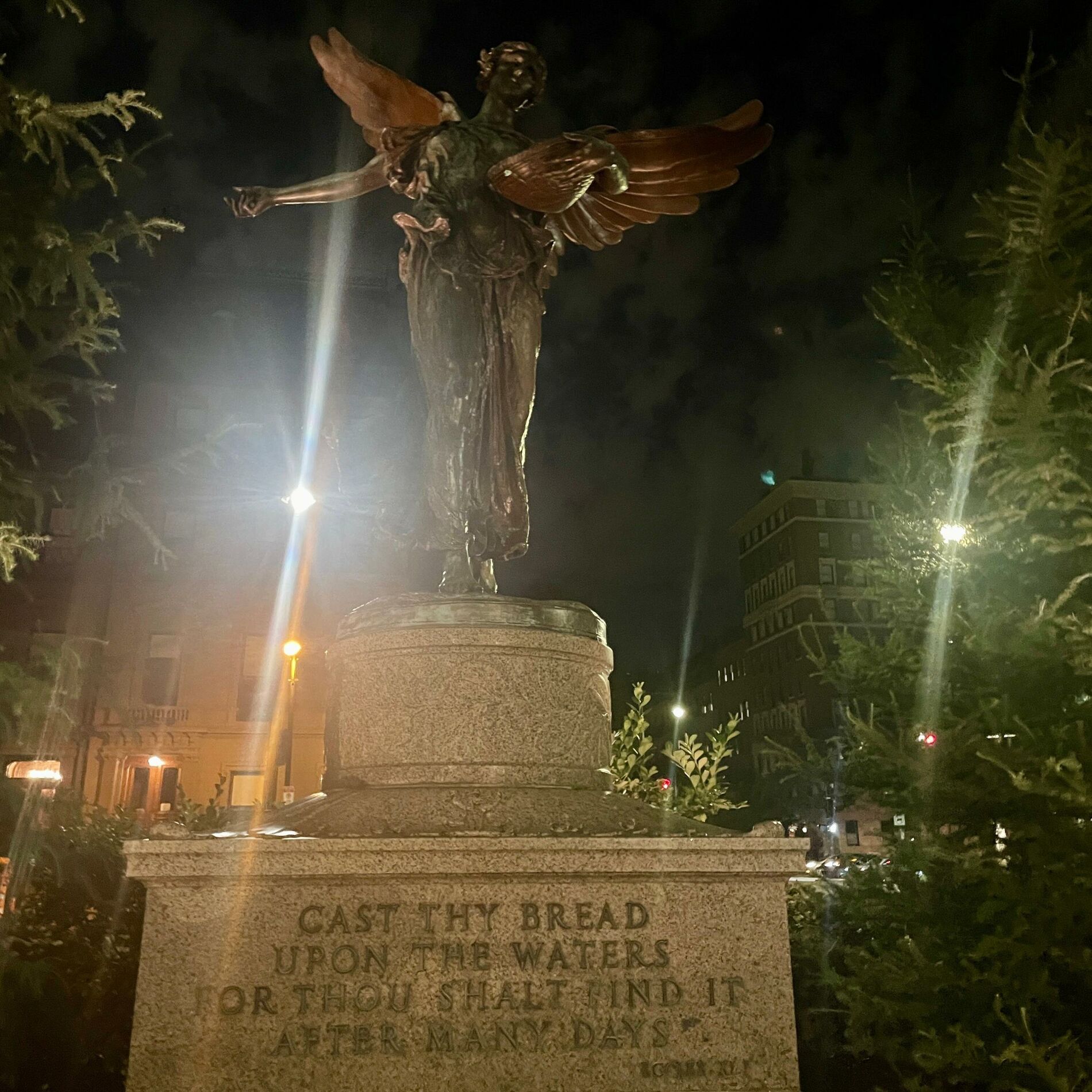 Album cover of The Garden
