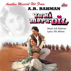 Cover of Tu Hi Mera Dil