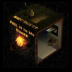 Cover of Feel It in My Bones