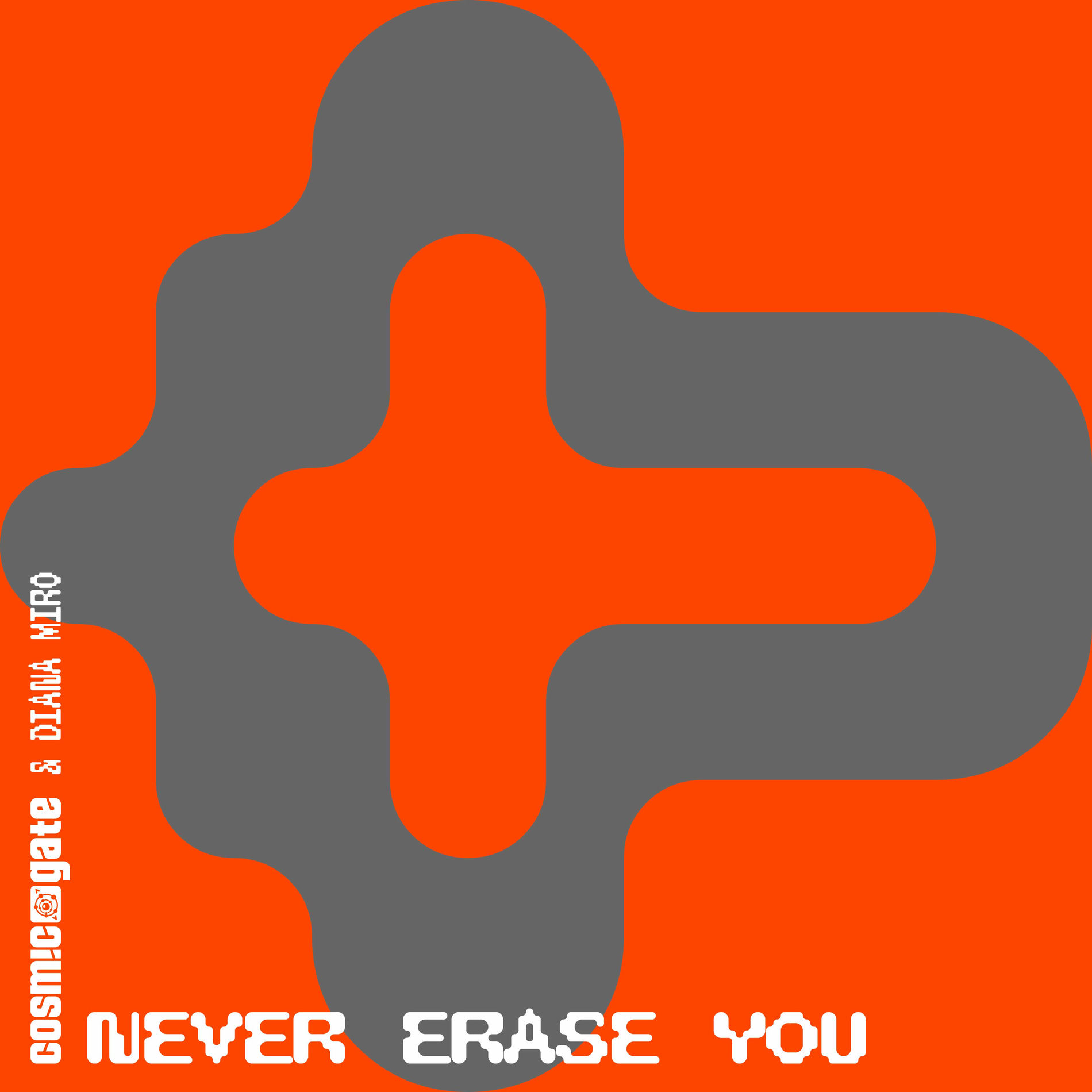 Album cover of Never Erase You