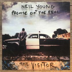 Cover of The Visitor