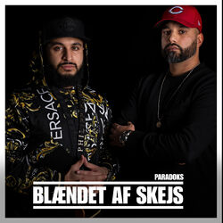 Cover of Blændet af skejs