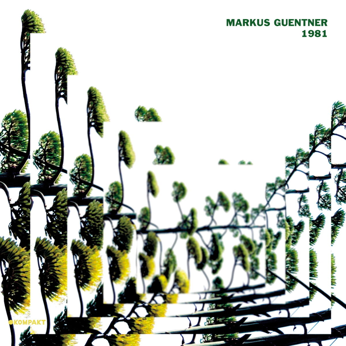 Album cover of 1981
