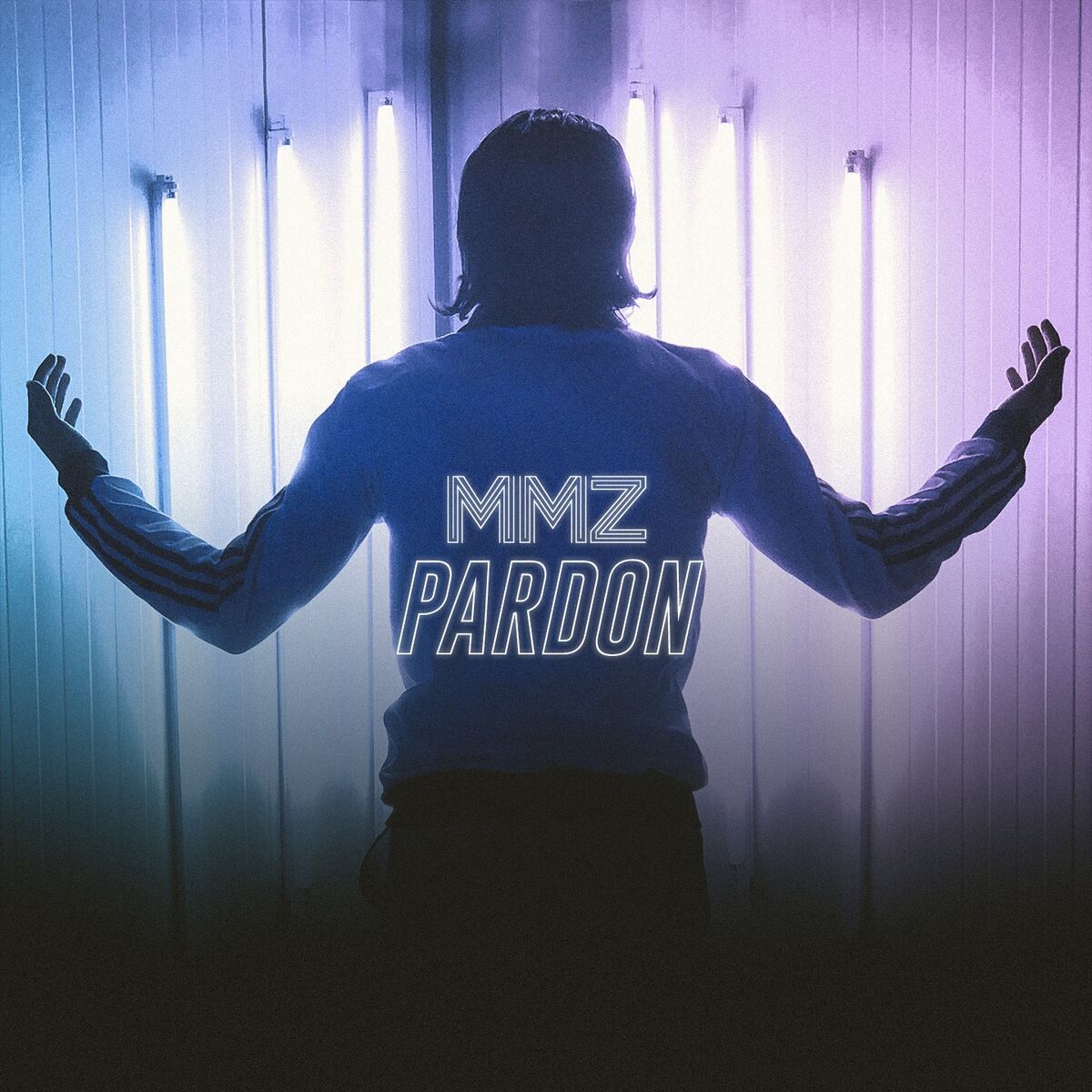 Album cover of Pardon