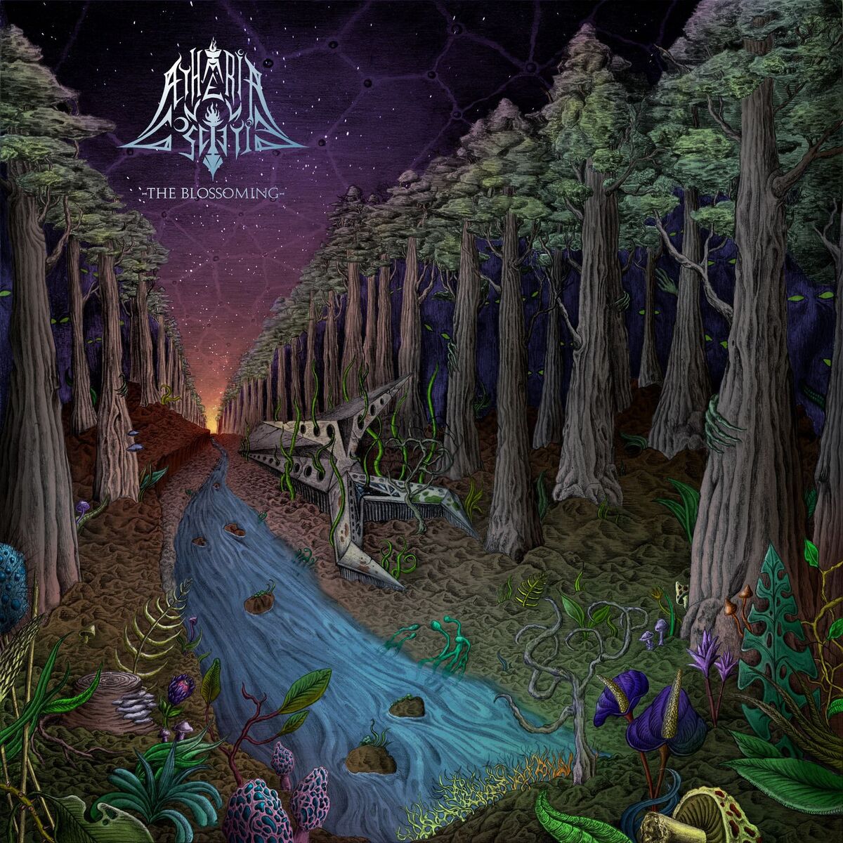 Album cover of The Blossoming