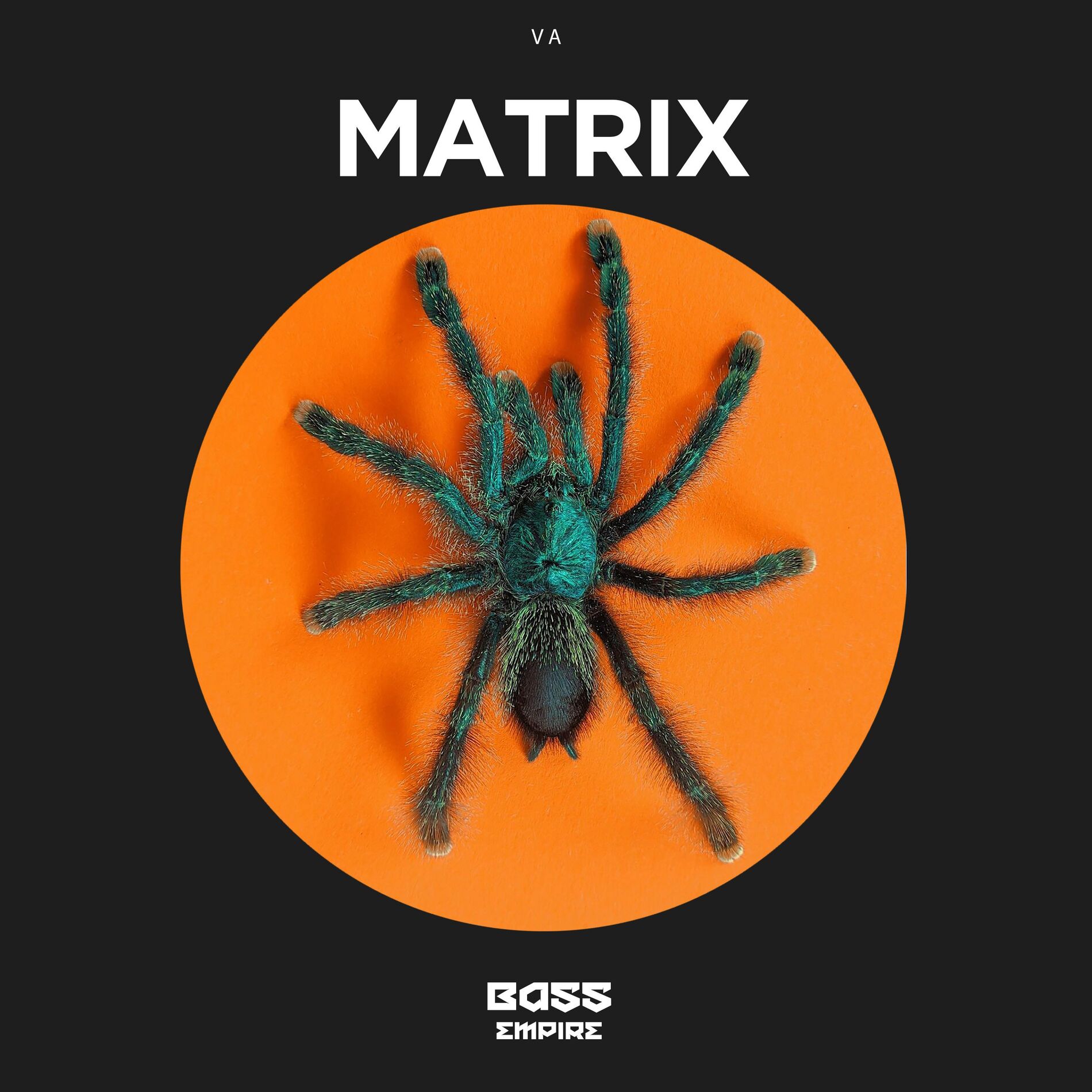Album cover of Matrix