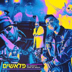 Cover of פלאשים
