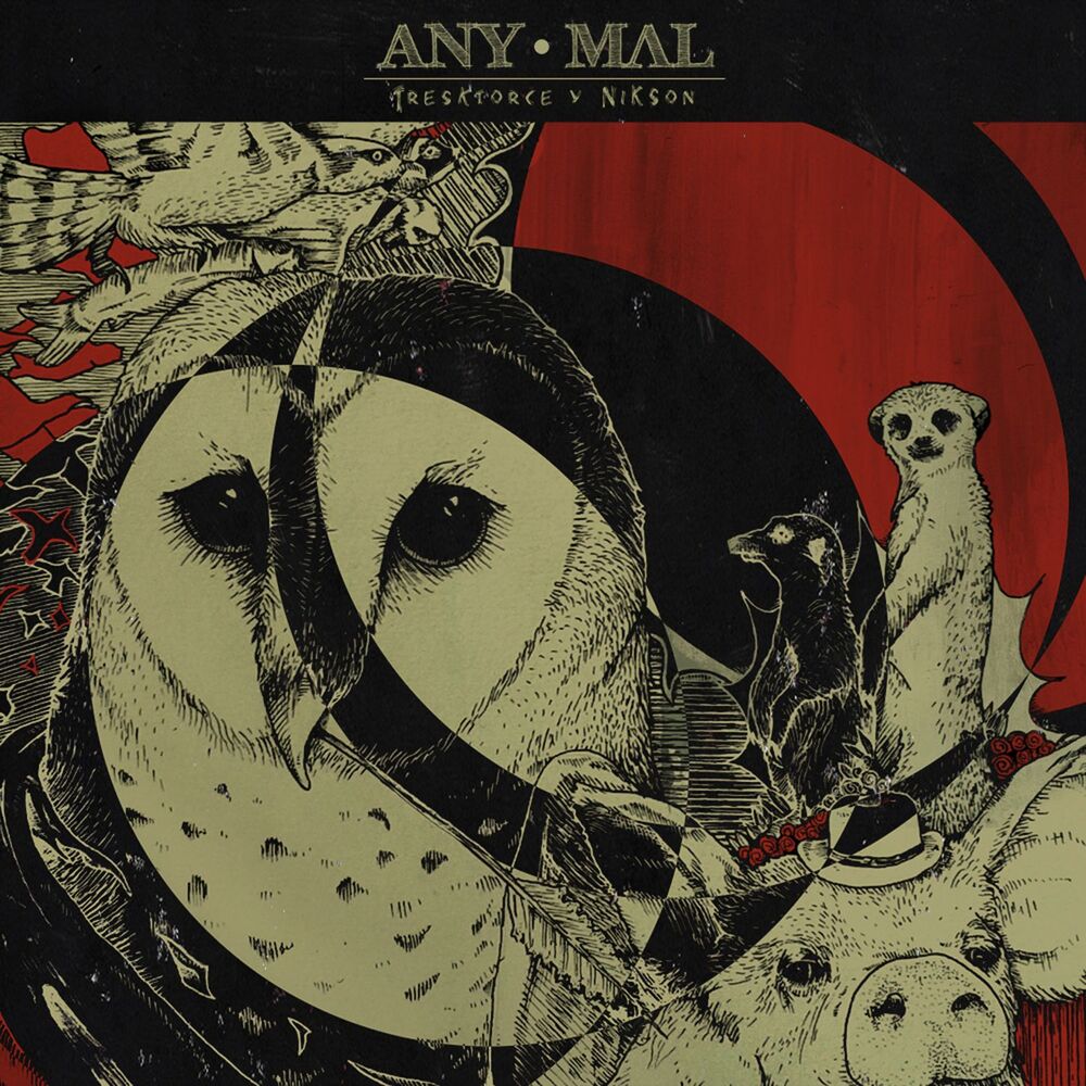 Picture of Anymal