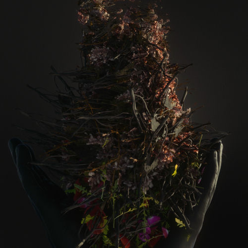 Rico – Something’s Wrong: Reimagined – Single