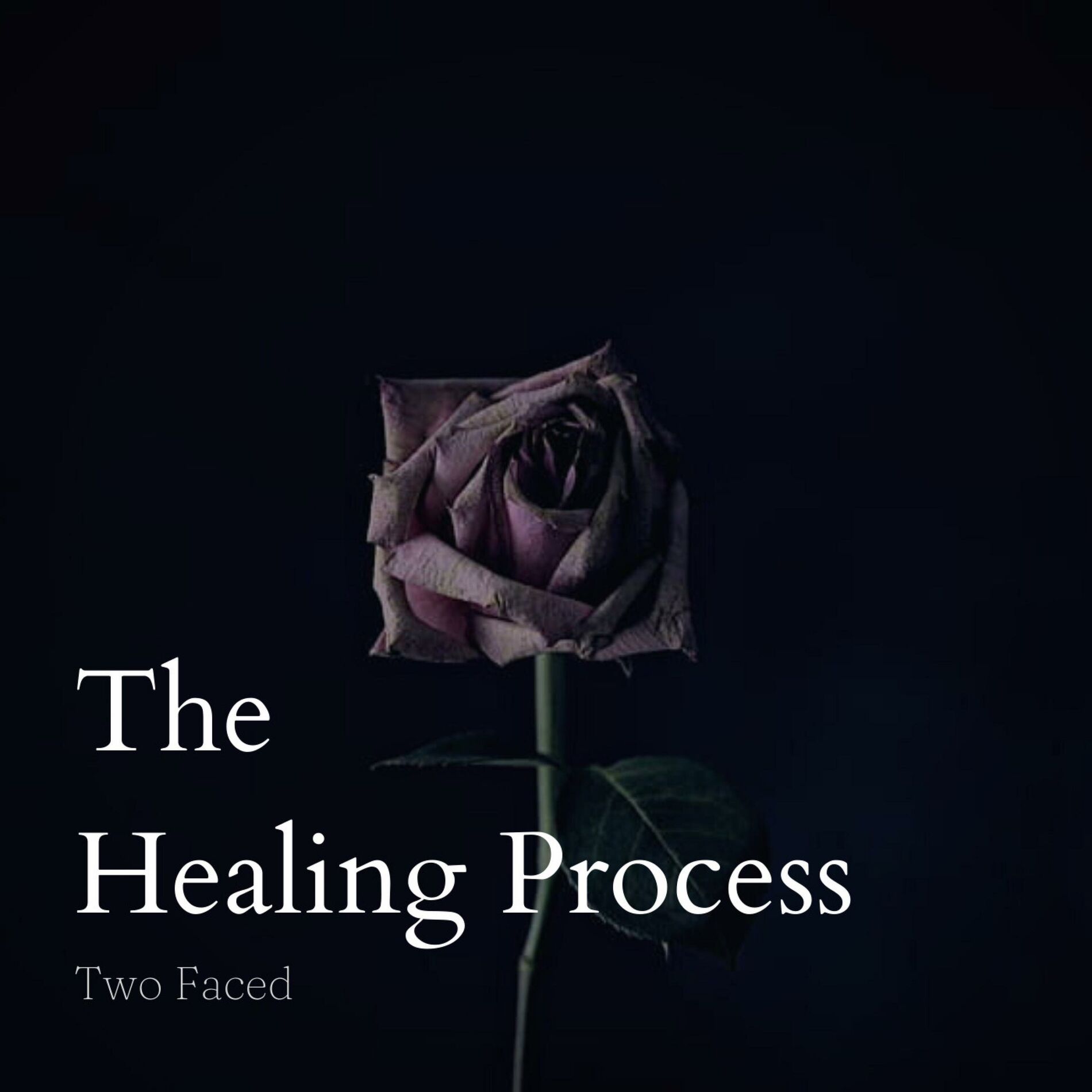 Album cover of The Healing Process