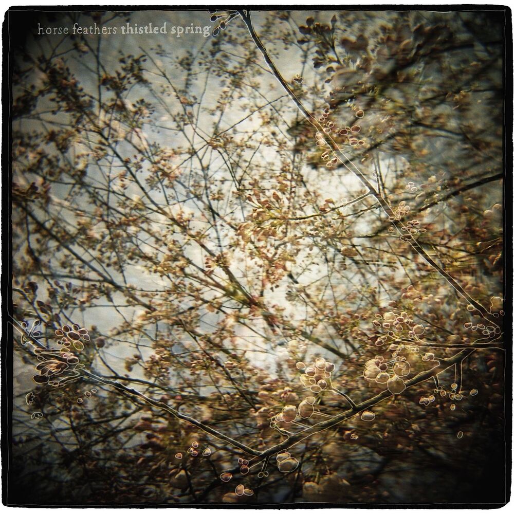 Picture of Thistled Spring