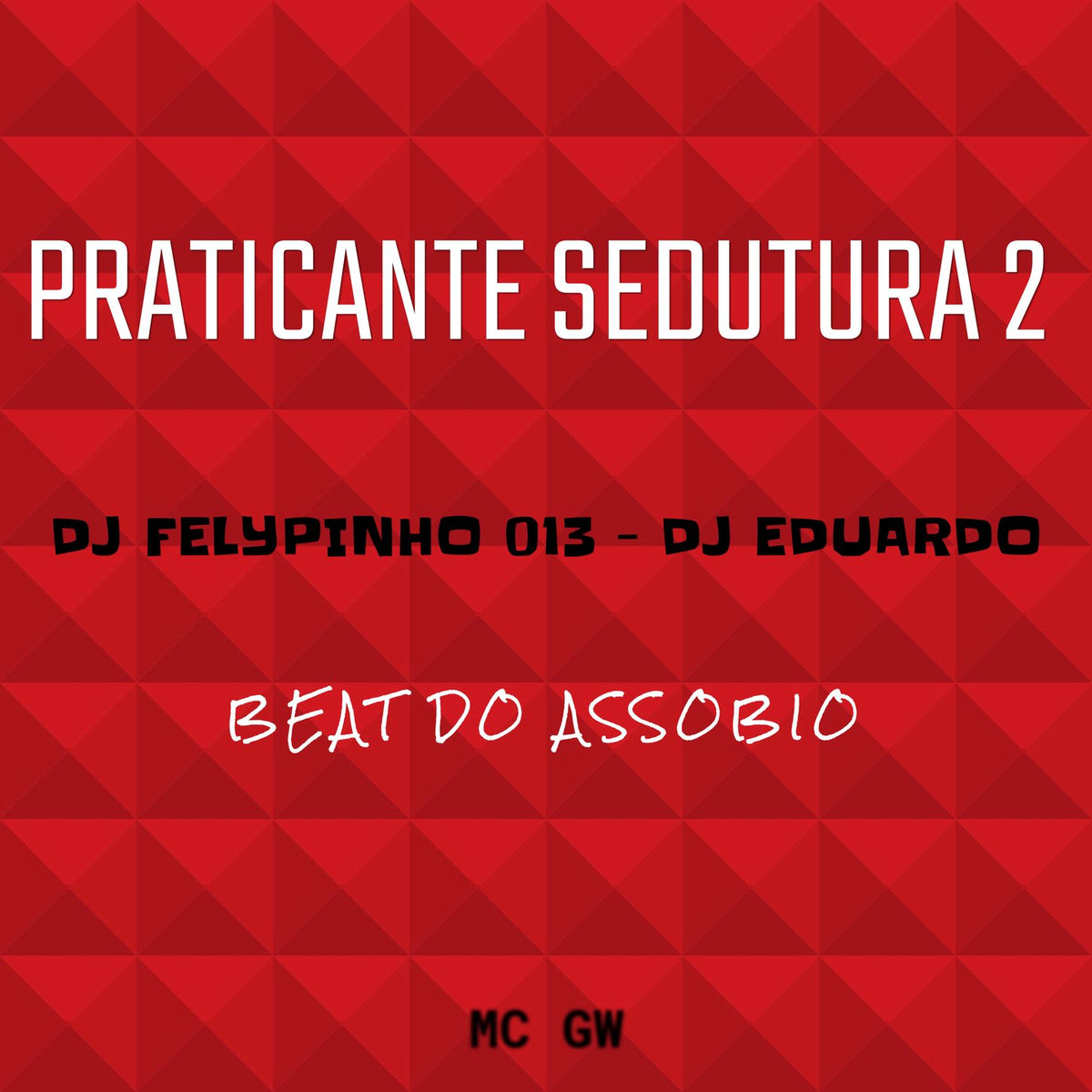 Album cover of PRATICANTE SEDUTURA 2