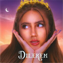 Cover of Dilekem