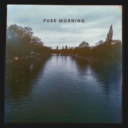 Cover of Pure Morning