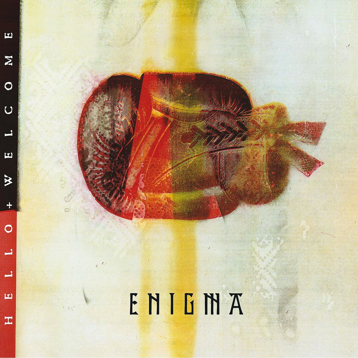 Album cover of Hello & Welcome