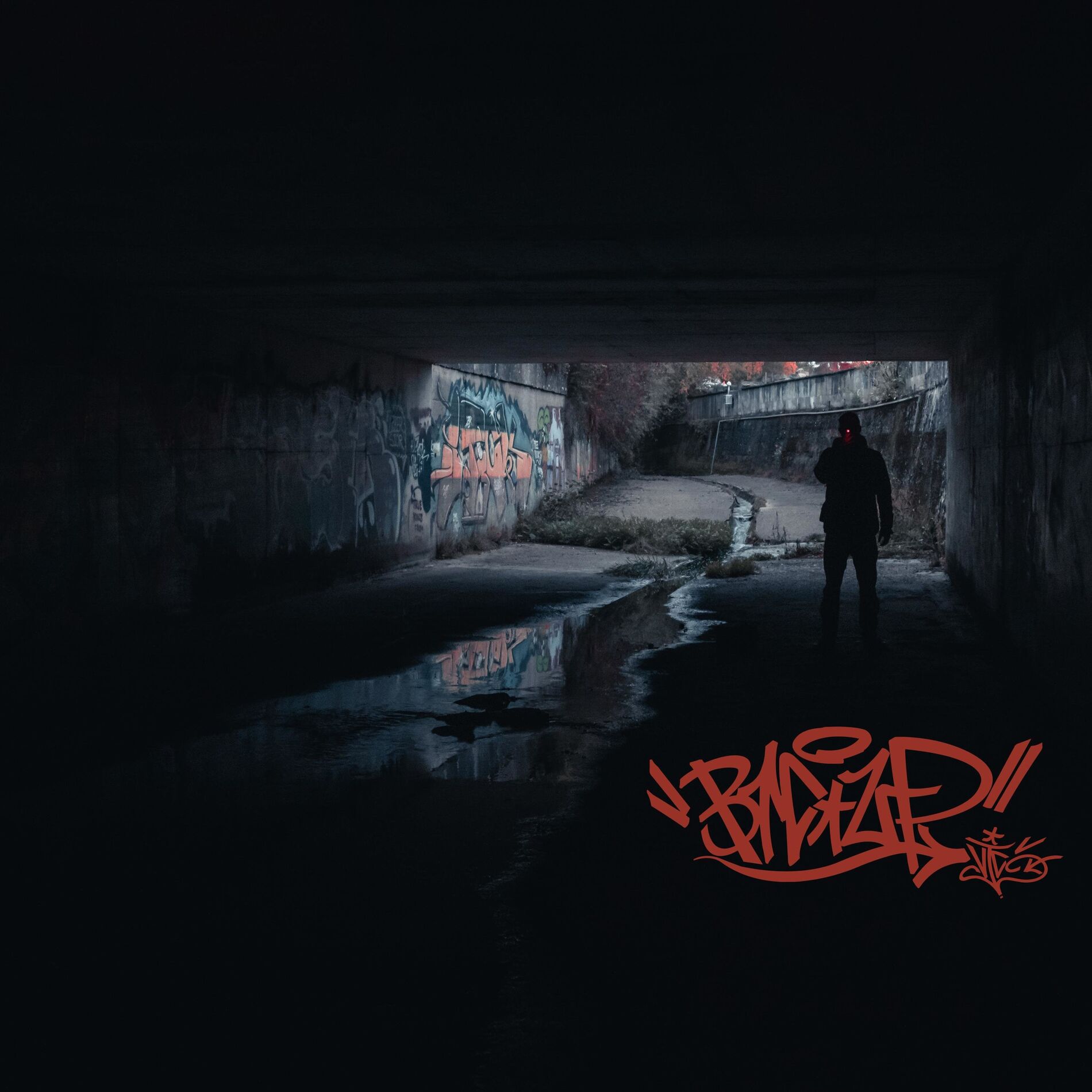 Album cover of BIC UP
