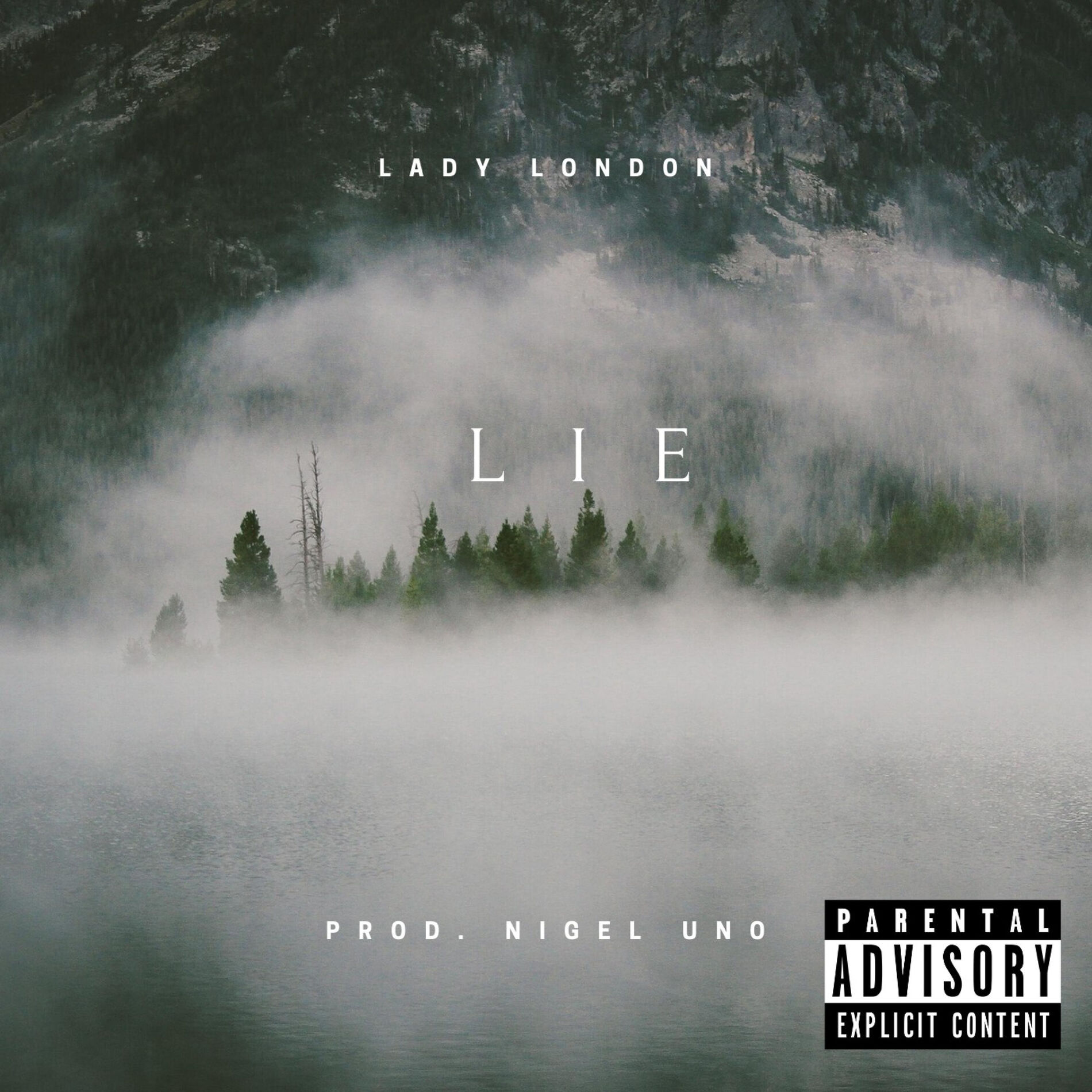 Album cover of Lie