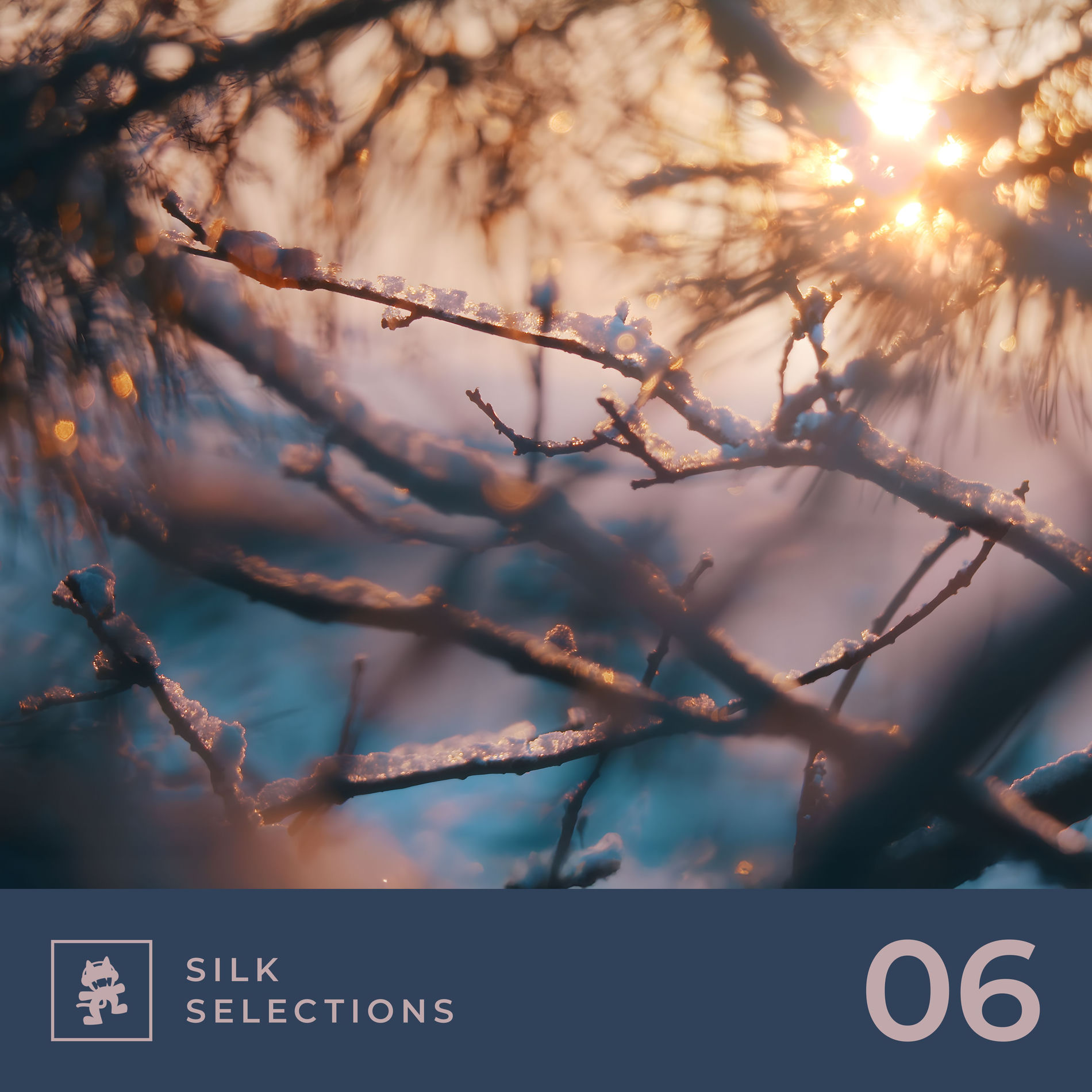 Album cover of Silk Selections 06