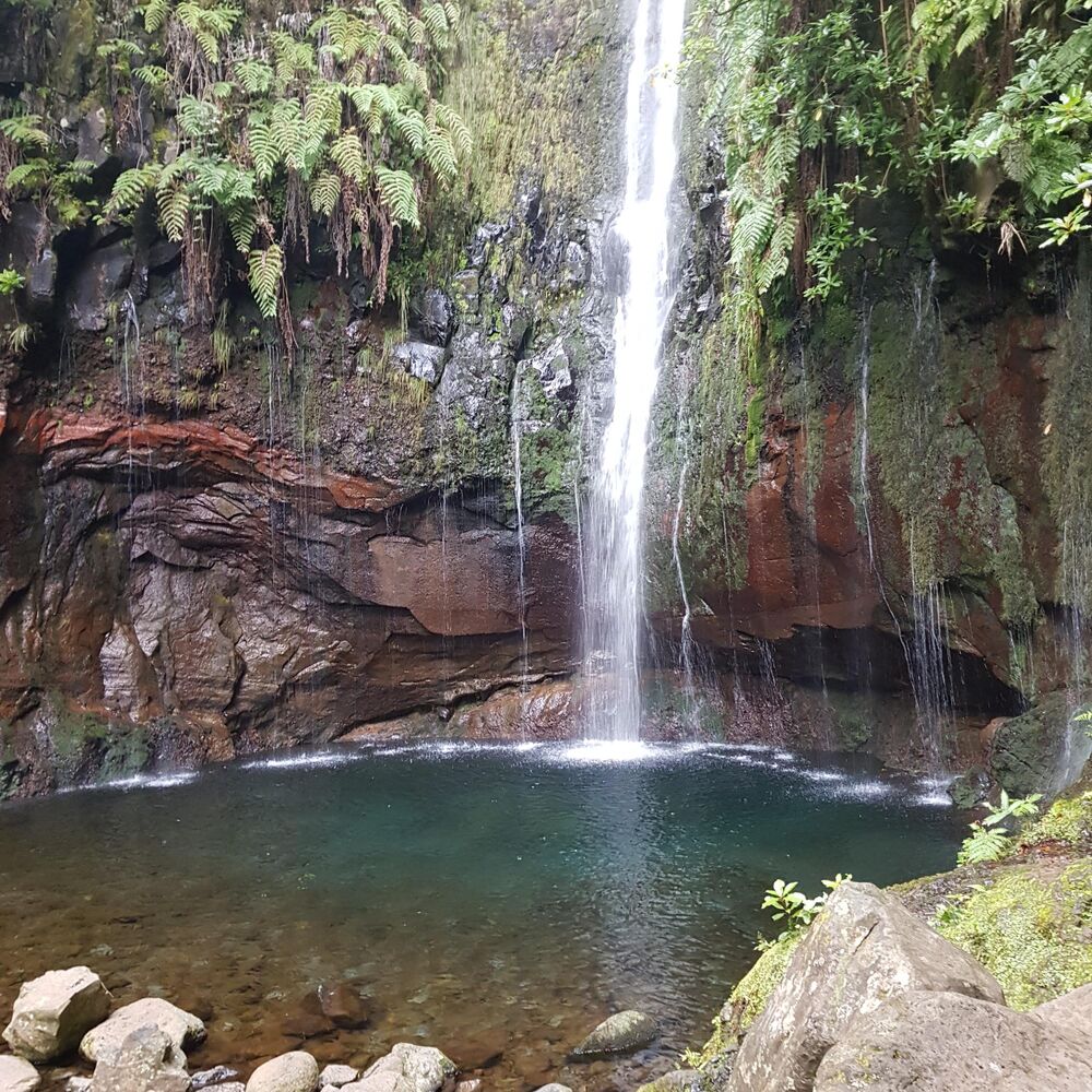 Picture of Cascades