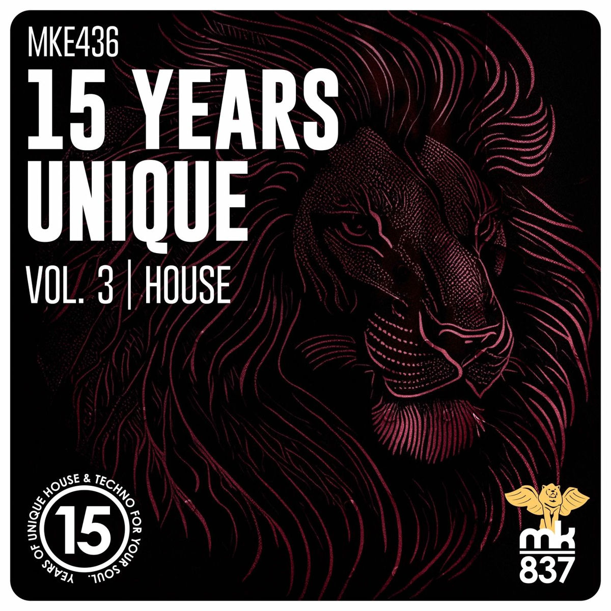 Album cover of 15 Years Unique, Vol. 3 | House