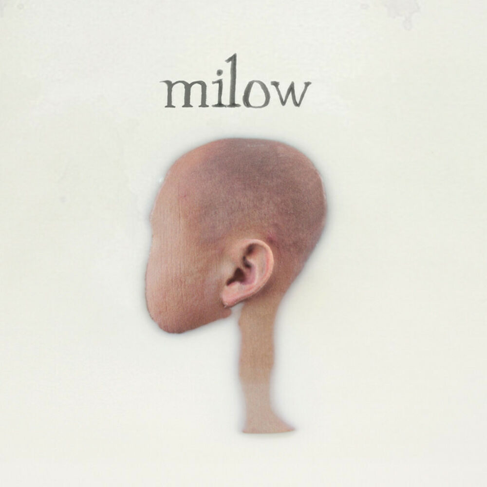 Picture of Milow
