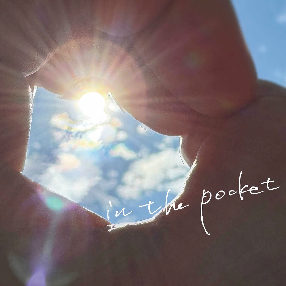 Album cover of In The Pocket
