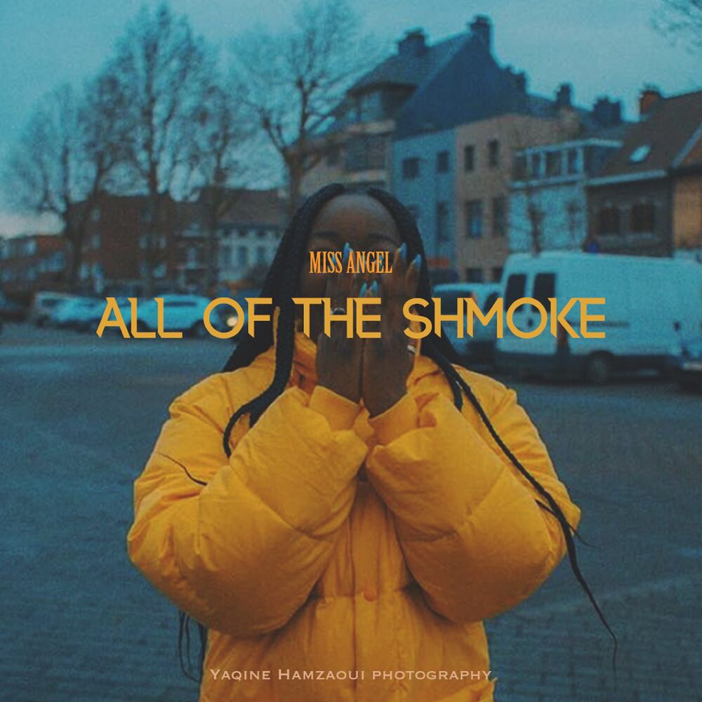 Picture of All Of The Shmoke