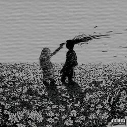 Cover of Baretta