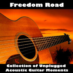 Cover of Freedom Road: Collection of Unplugged Acoustic Guitar Moments