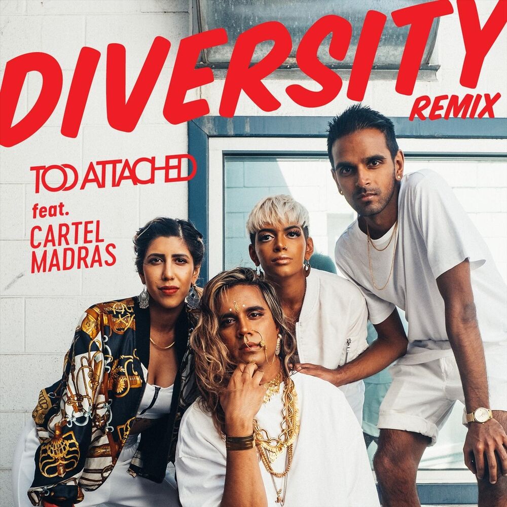 Picture of Diversity (Remix)