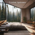 &Eacute;vasion Apaisante: Musique de Relaxation pour le Bien-&ecirc;tre et la D&eacute;tente
