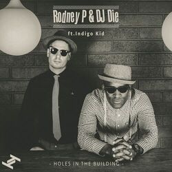 Cover of Holes in the Building