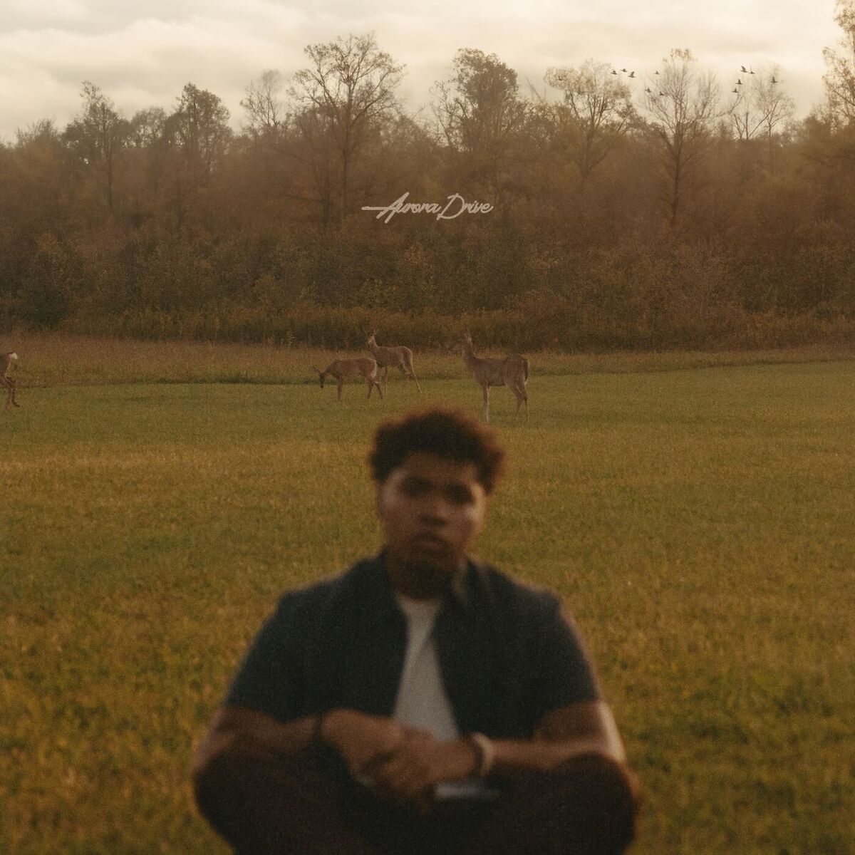 Album cover of Aurora Drive