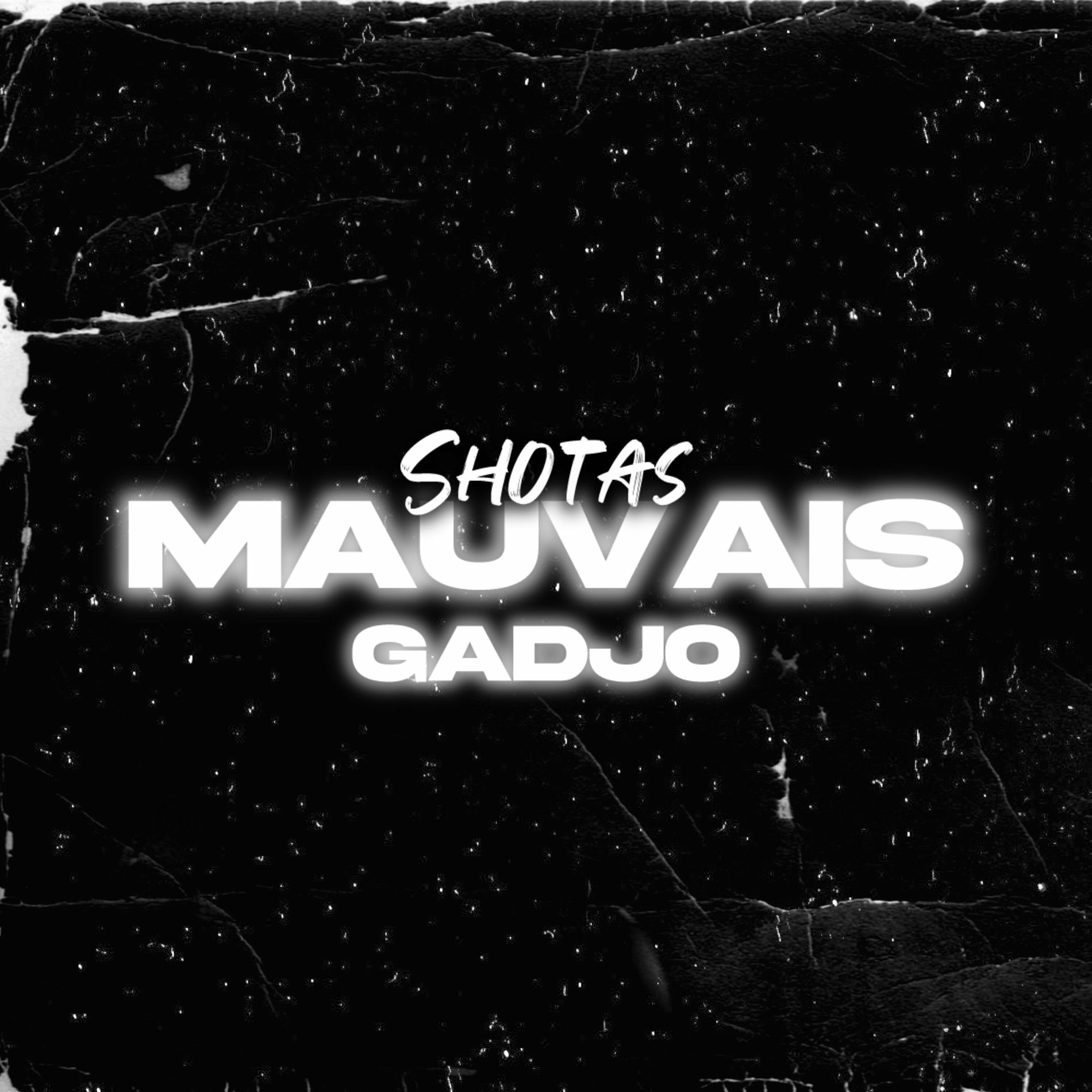 Album cover of Mauvais gadjo