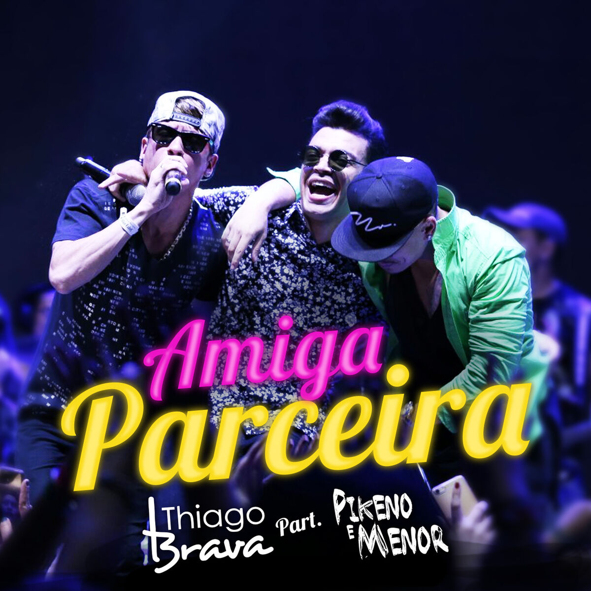 Album cover of Amiga Parceira