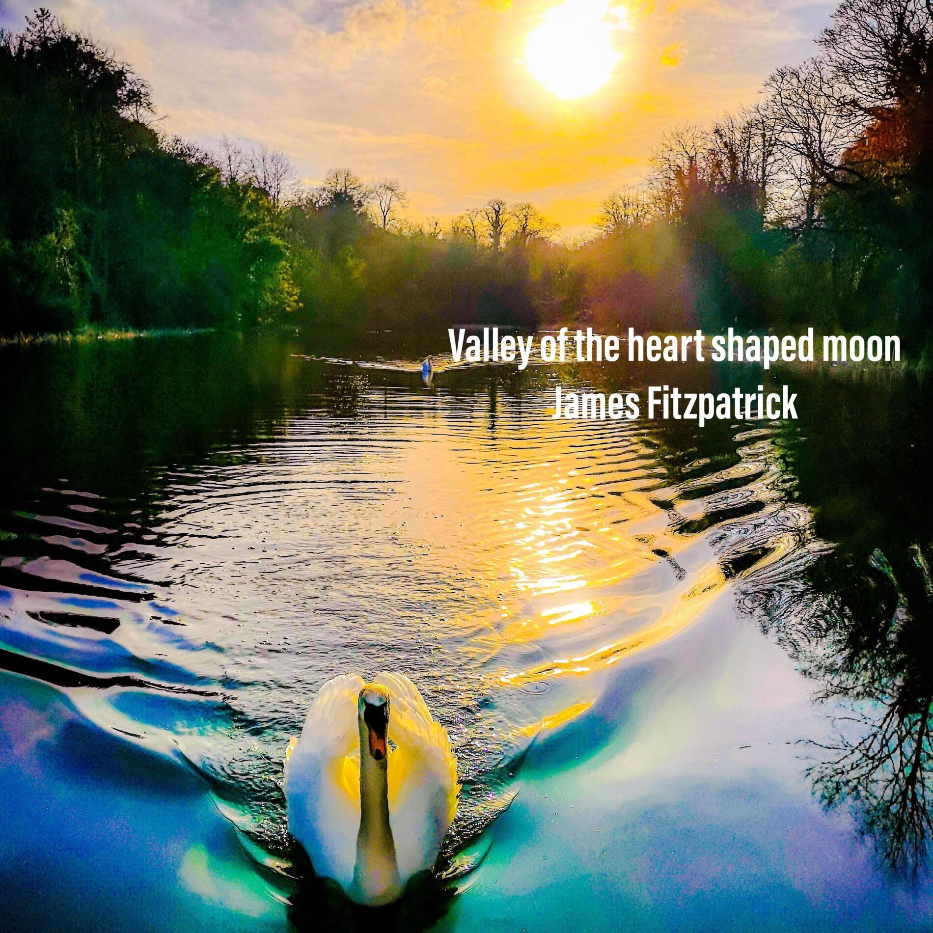 Album cover of Valley of the heart shaped moon