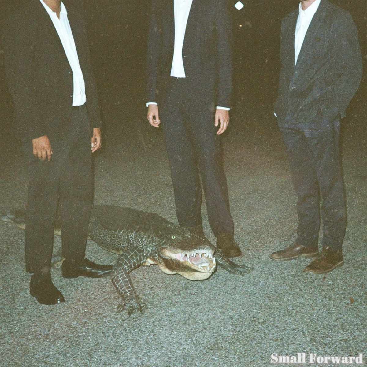 Album cover of Bloodhounds