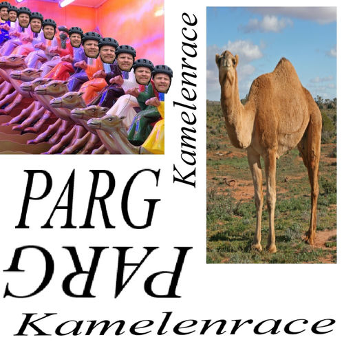Kamelenrace