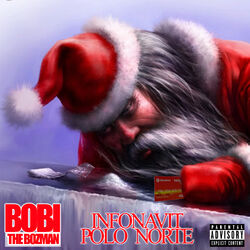 Cover of Infonavit Polo Norte