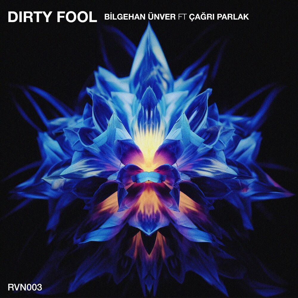 Picture of Dirty Fool