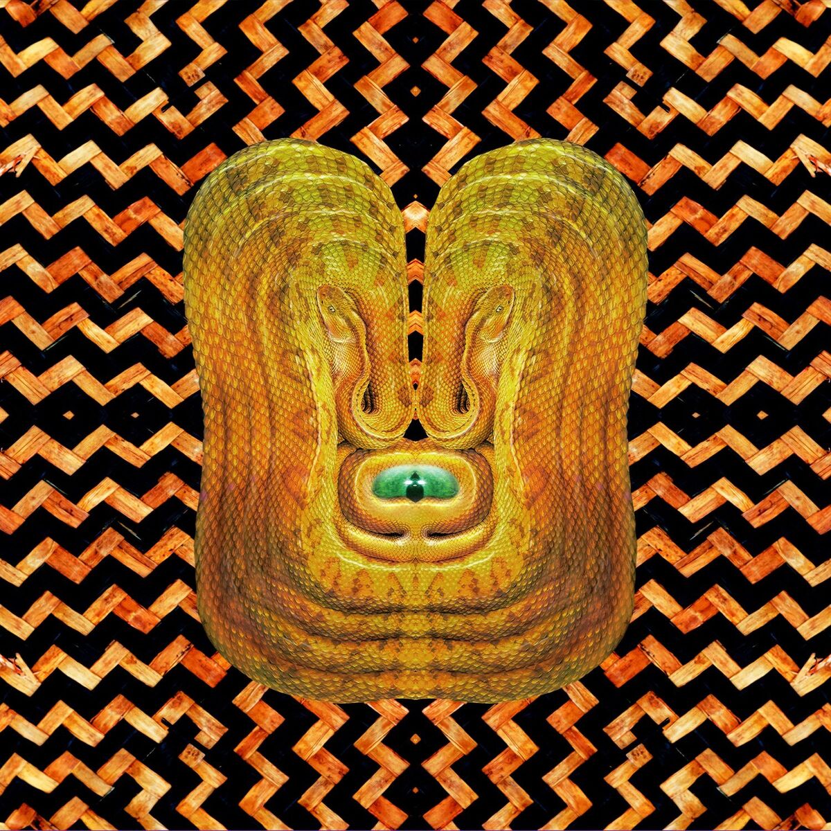 Album cover of La Serpiente